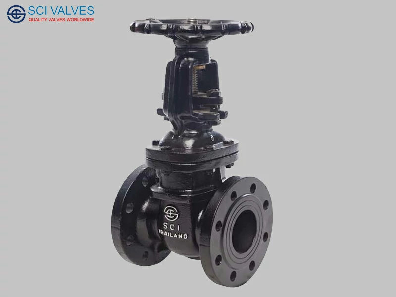 Ductile Gate Valve Rising Stem Fig. 110 SSD